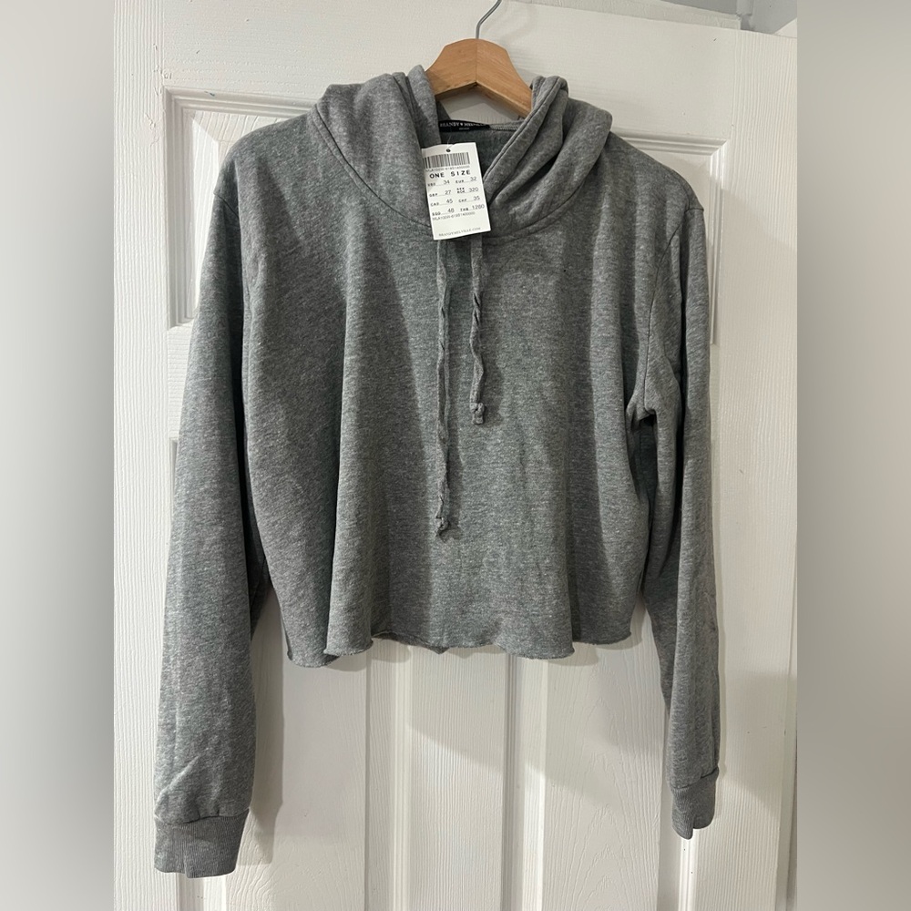 Brandy Melville Gray Cropped Hoodie Sweater